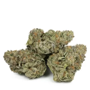 GMO NG Marijuana Strain