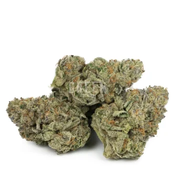 GMO NG Marijuana Strain