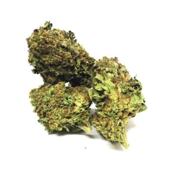 Venom OG HG Marijuana Strain