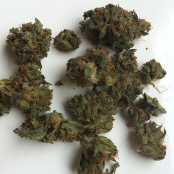 Ramulan KT Marijuana Strain