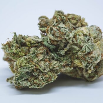 Stephen Hawking Kush CBD Strain LE