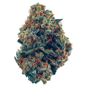 Zkittelz SY Cannabis Strain