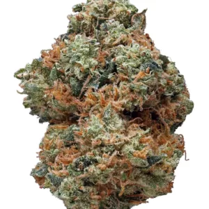 Pink Shaman WC Weed Strain