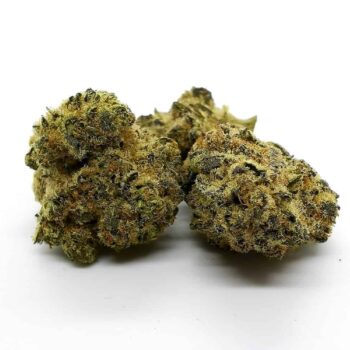 Dancehall CR Marijuana Strain