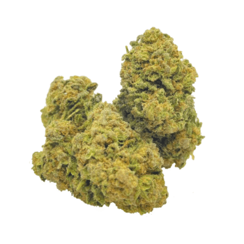 The Toad EX Weed Strain