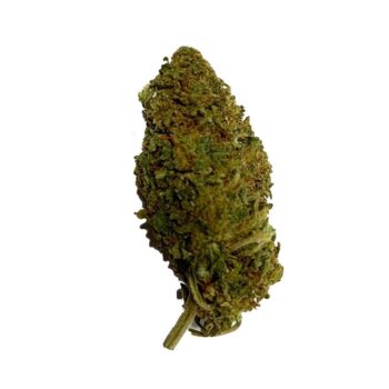 Kimbo Kush DT Weed Strain