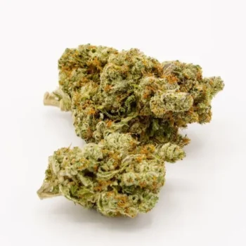 Remedy CO Cannabis Strain