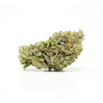 Jedi Kush PL Weed Strain