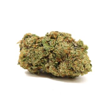 Motorbreath CV Marijuana Strain
