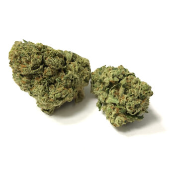 French Cookies CM Marijuana Strain