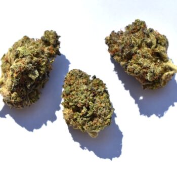 Bubba Fett DA Weed Strain