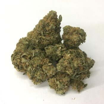 Scott’s OG IE Marijuana Strain