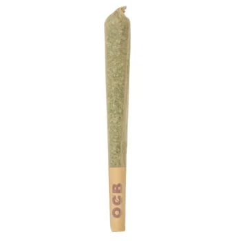 High THCA Prerolled Joint IP