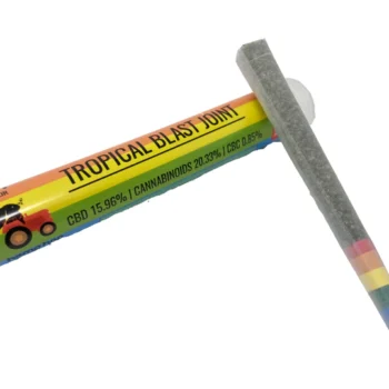 Pride Indoor Tropical Blast Prerolled Joint HR