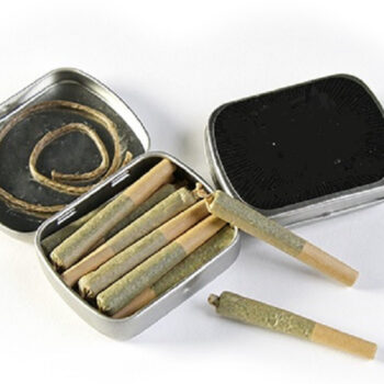 THC O Shorties Rolls Joint LS