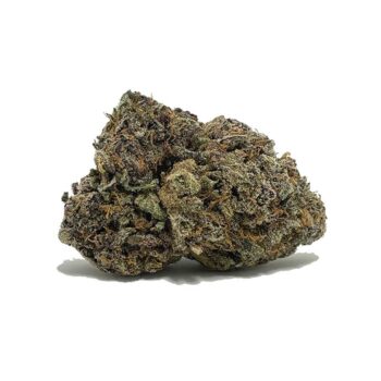 Black Gorilla CA Marijuana Strain