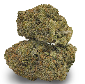 Fancy Funk BN Marijuana Strain