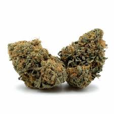 Golden Berry CF Marijuana Strain