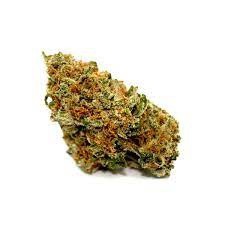 Hot Donna BT Marijuana Strain