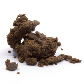 Afghani Zahara Hash BB