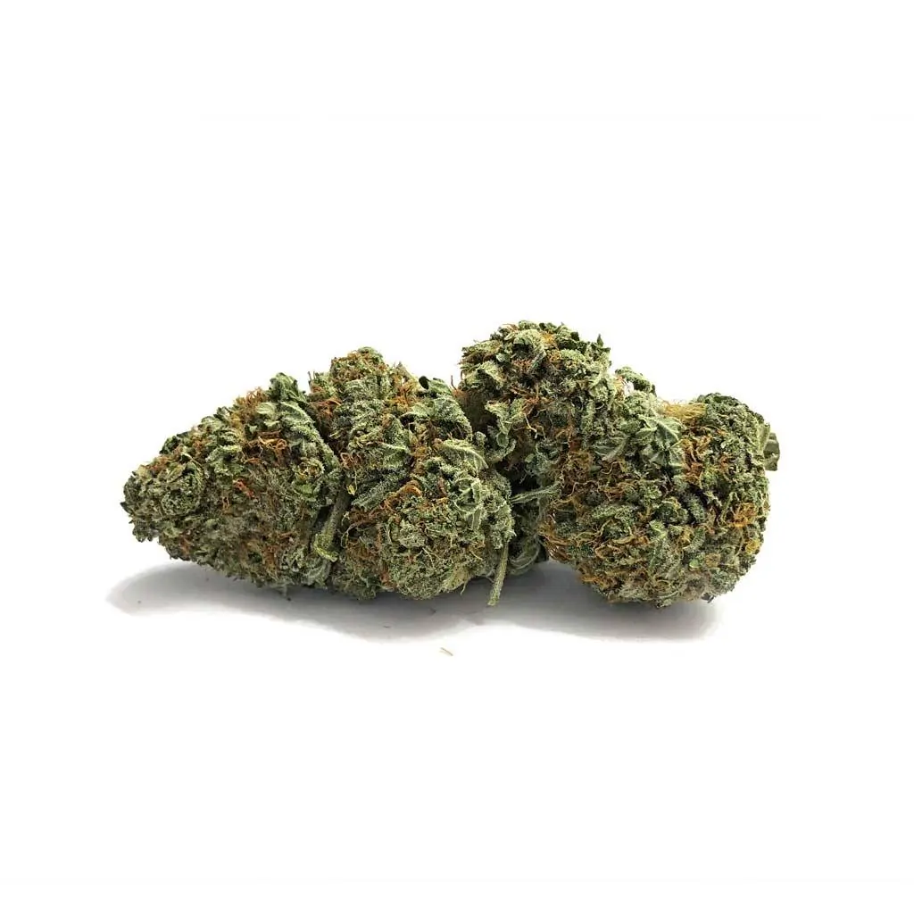 AK-47 BL Marijuana Strain