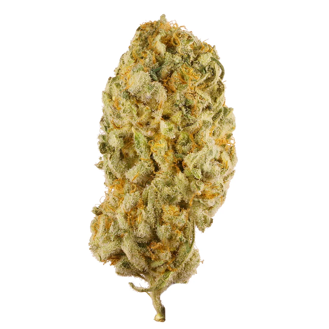 Jack Herer HS Weed Strain