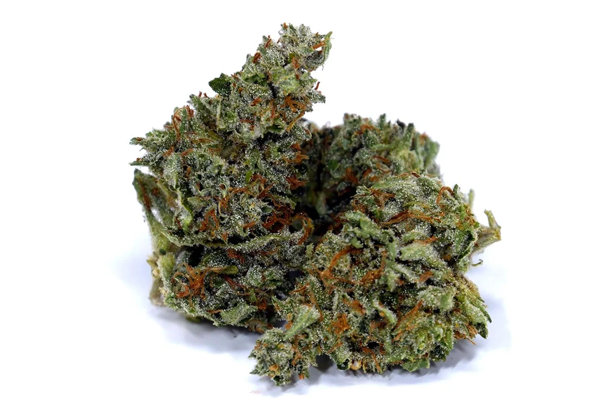 Chocolope AB Marijuana Strain