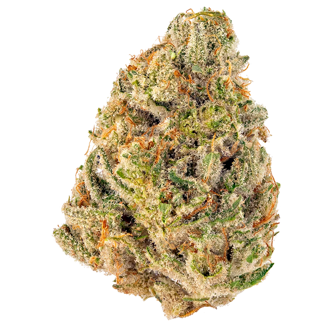 Mimosa GY Cannabis Strain