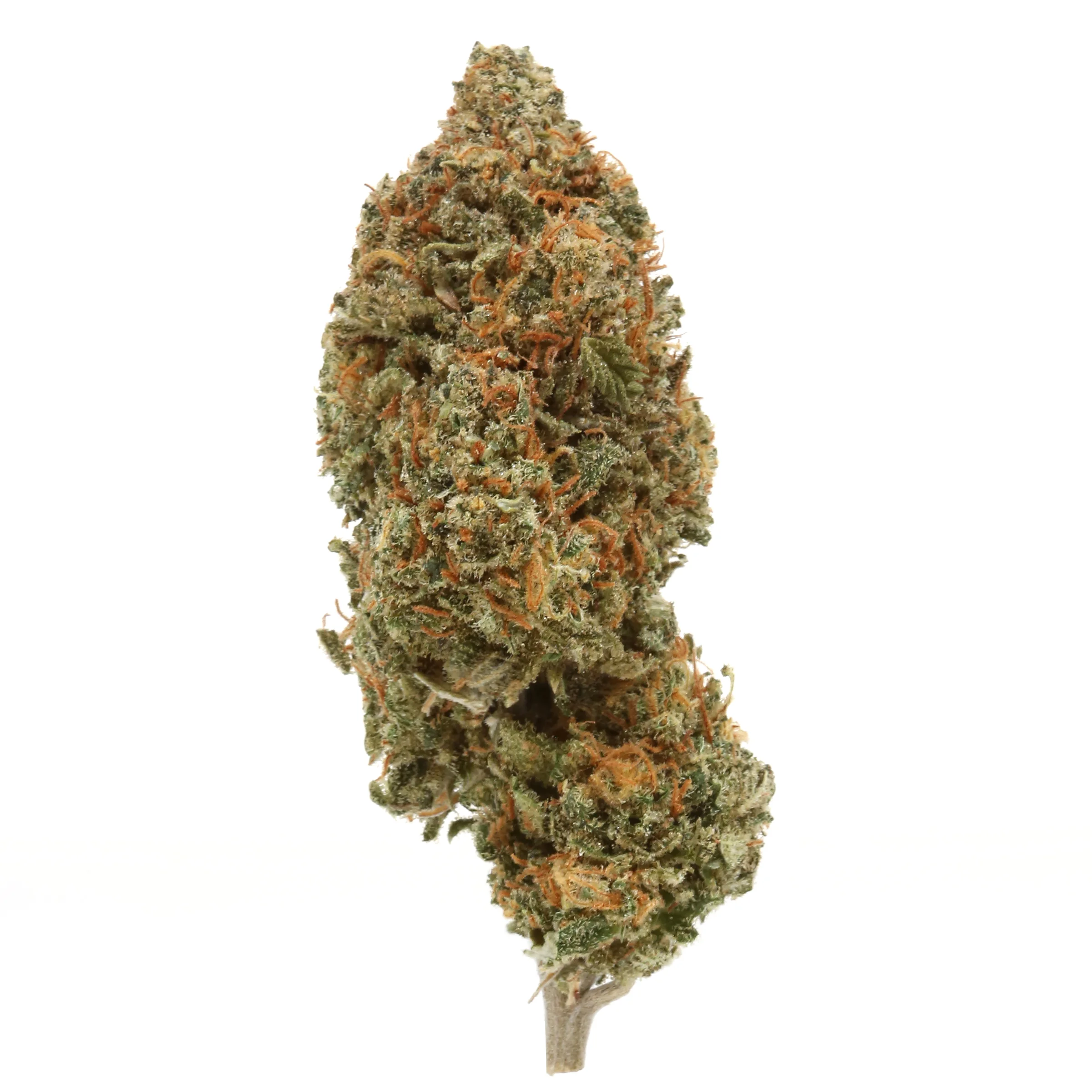 Cat’s Meow Indoor SL Marijuana Strain
