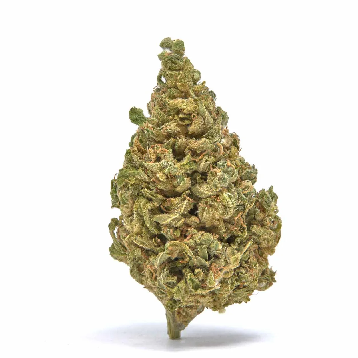 Cookies COV Delta-8 THC Infused Flower