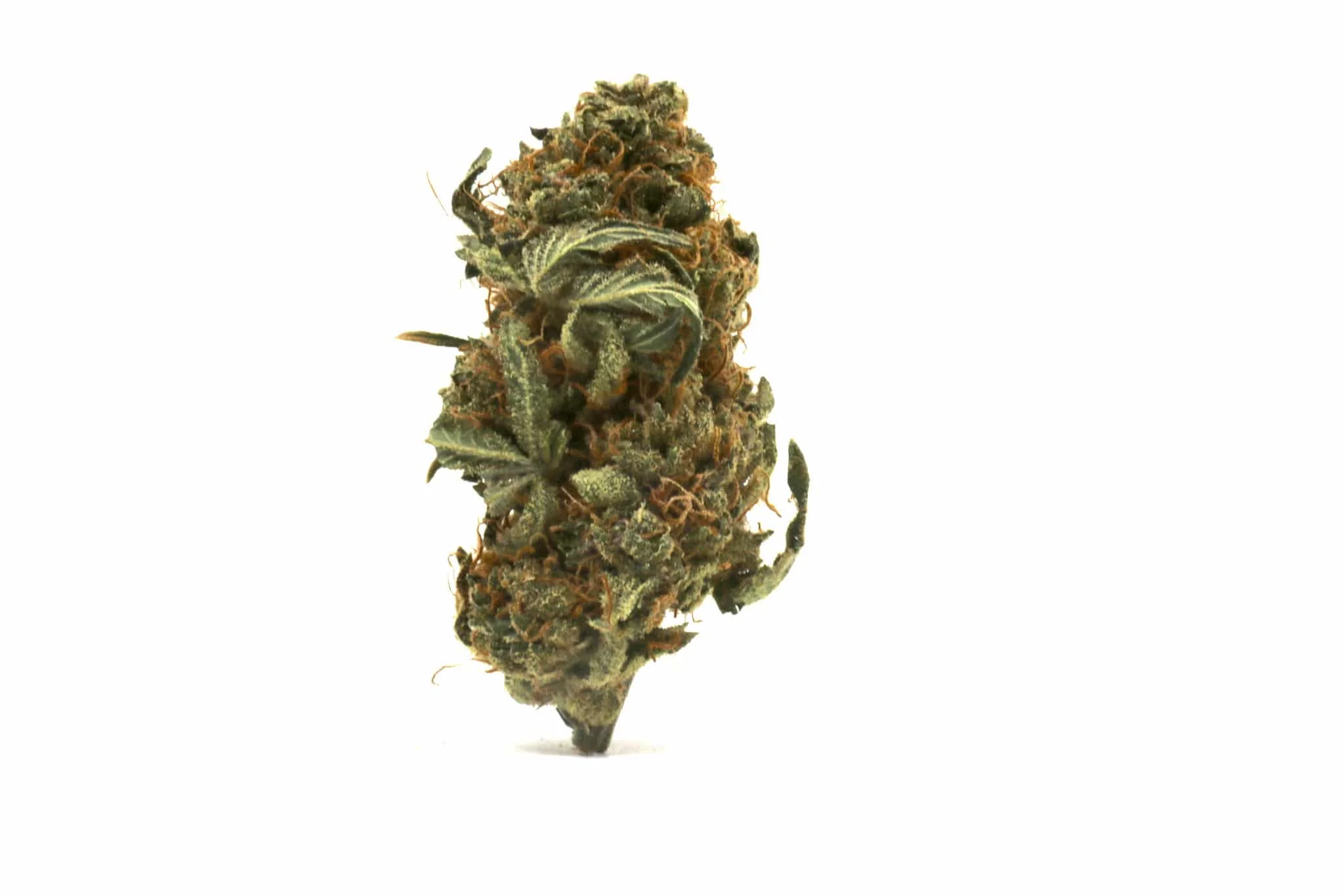 Stargazer CBD TQ Hemp Flower