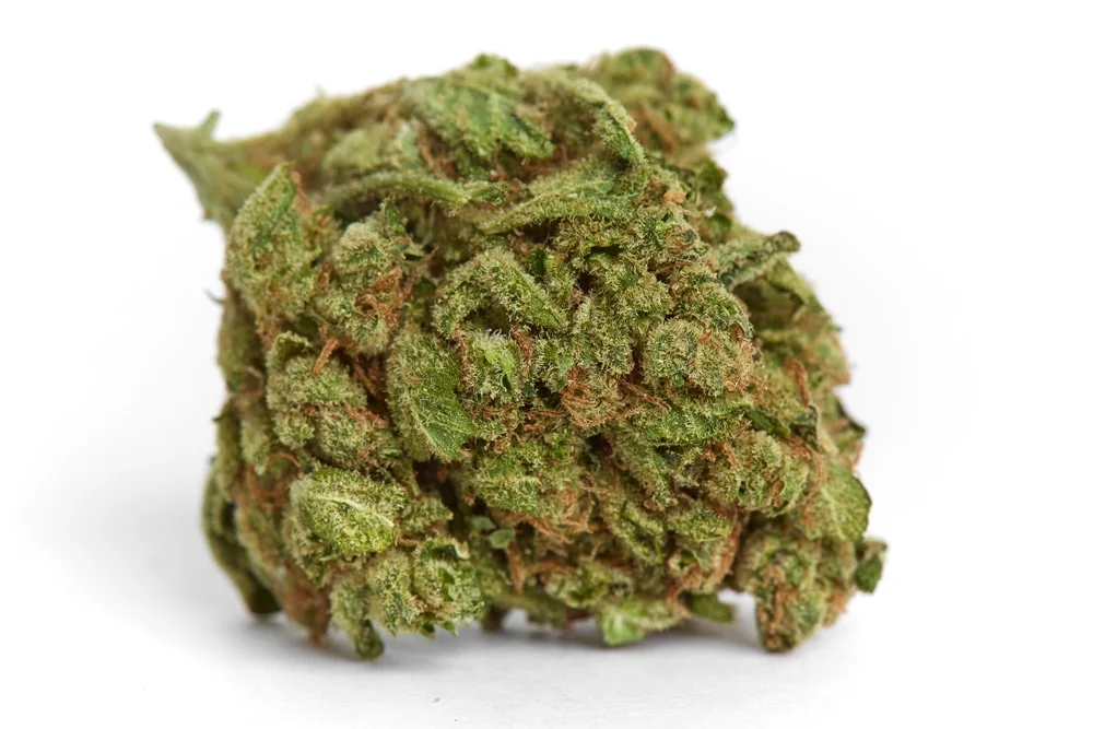 Platinum Bubba Kush SA Marijuana Strain