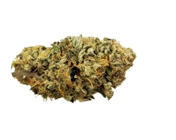 Cannatonic NE Weed Strain