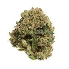 SFV OG SN Weed Strain