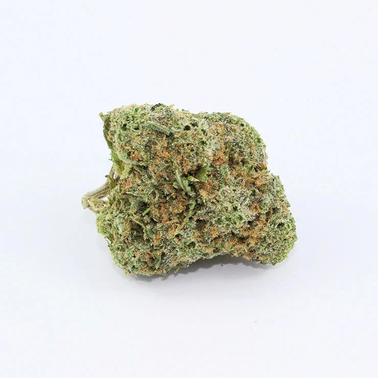Alien OG SG Cannabis Strain