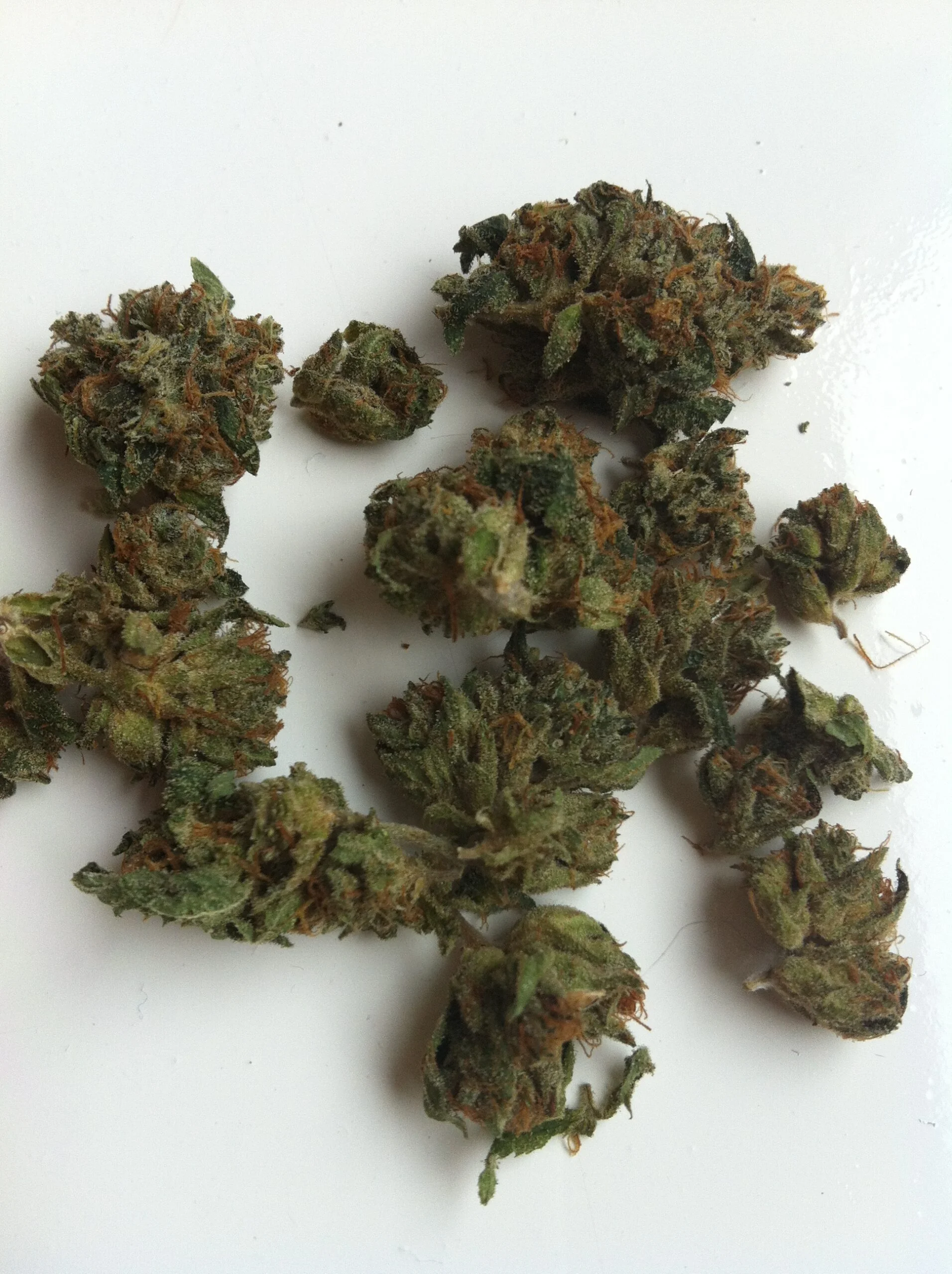 Ramulan KT Marijuana Strain