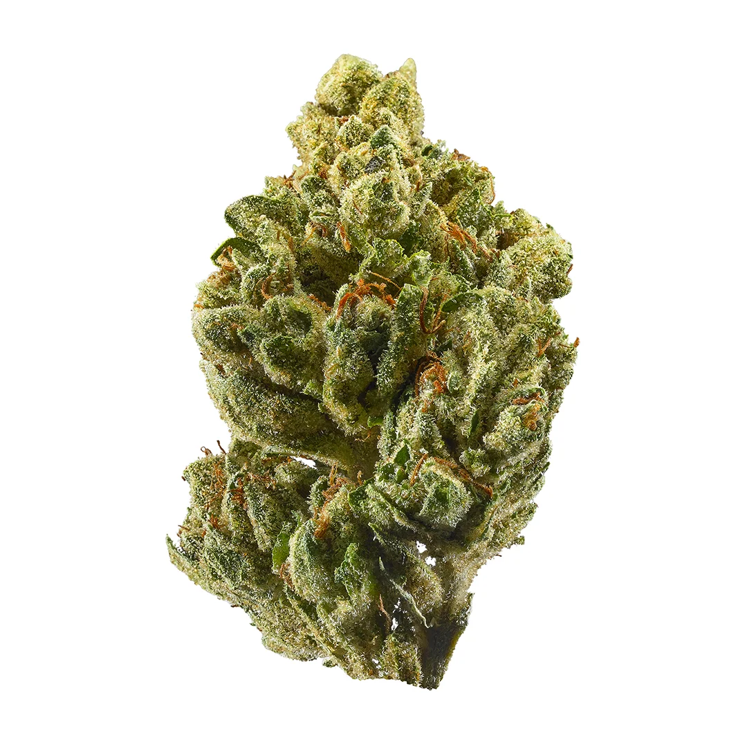 OG Kush NW Weed Strain