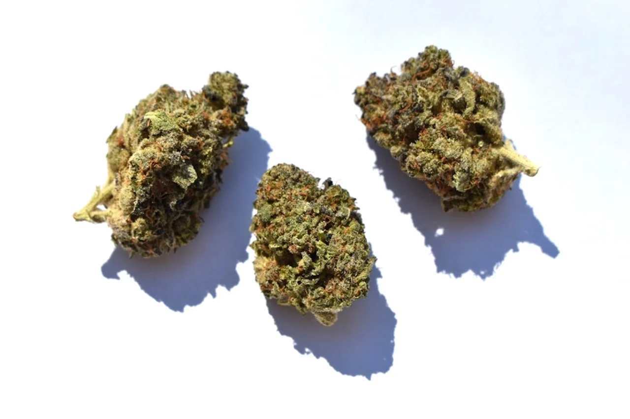 Bubba Fett DA Weed Strain